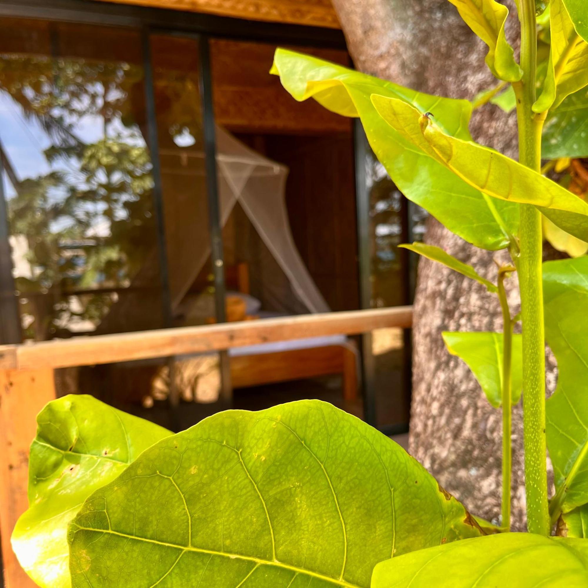 Amami Beachfront Villa With Private Beach 푸에르토갈레라 외부 사진