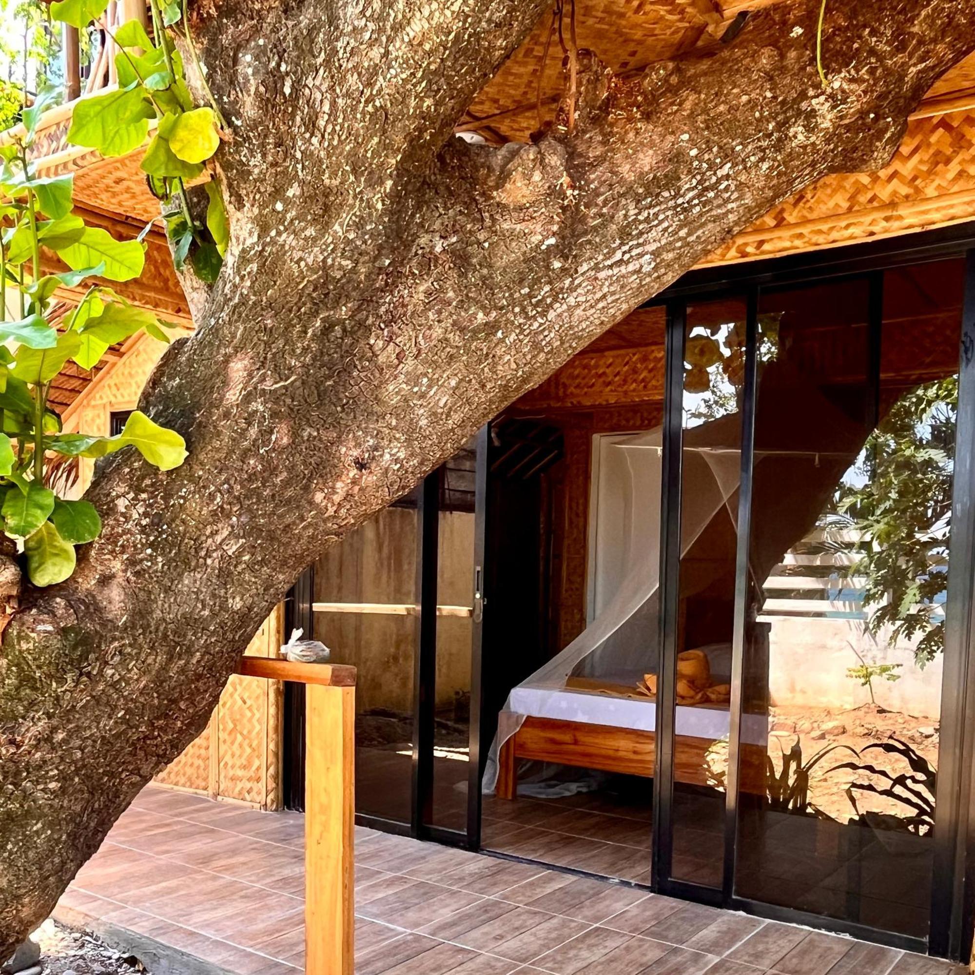 Amami Beachfront Villa With Private Beach 푸에르토갈레라 외부 사진